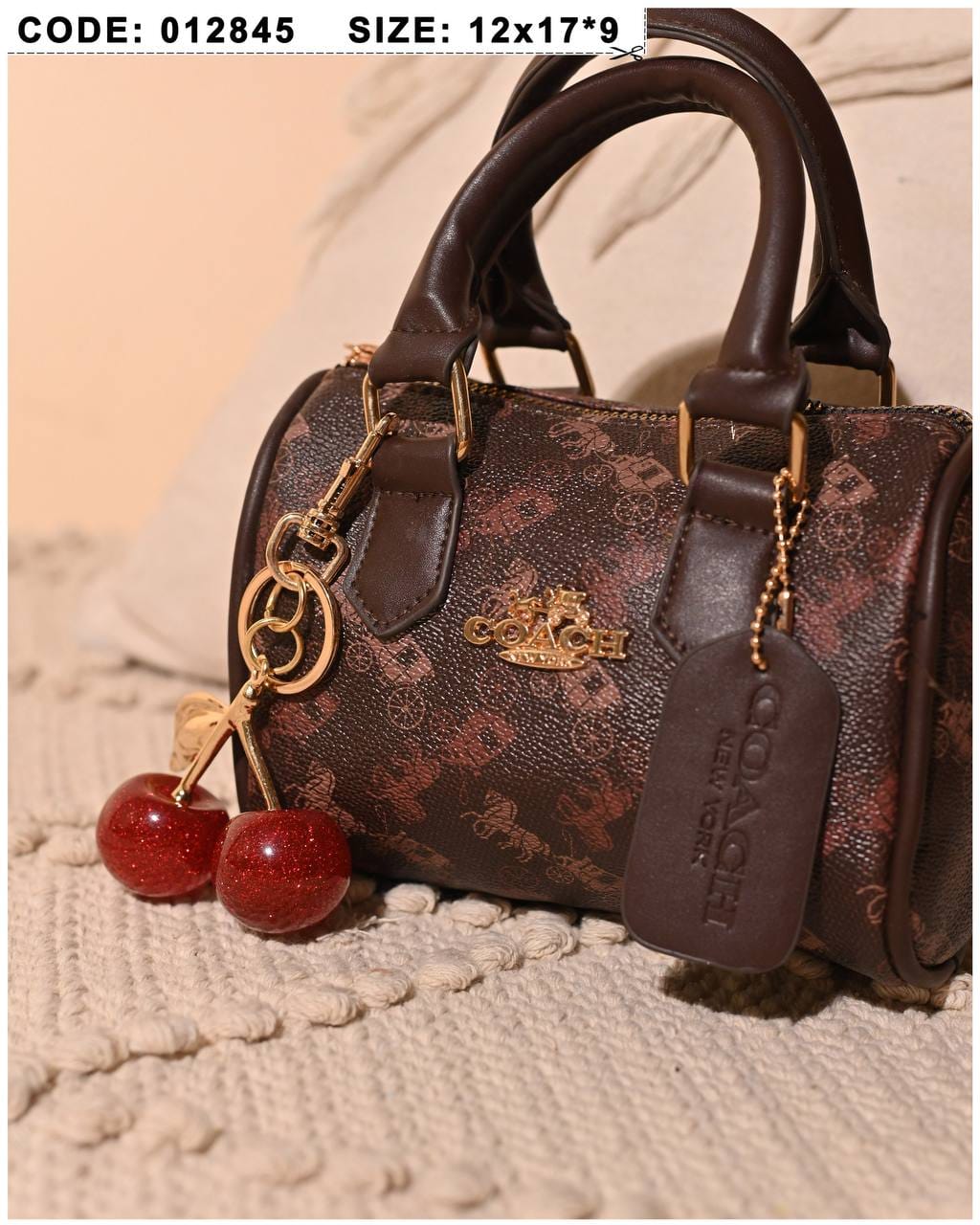 012845 — Cherry Charm Mini Bag — detail