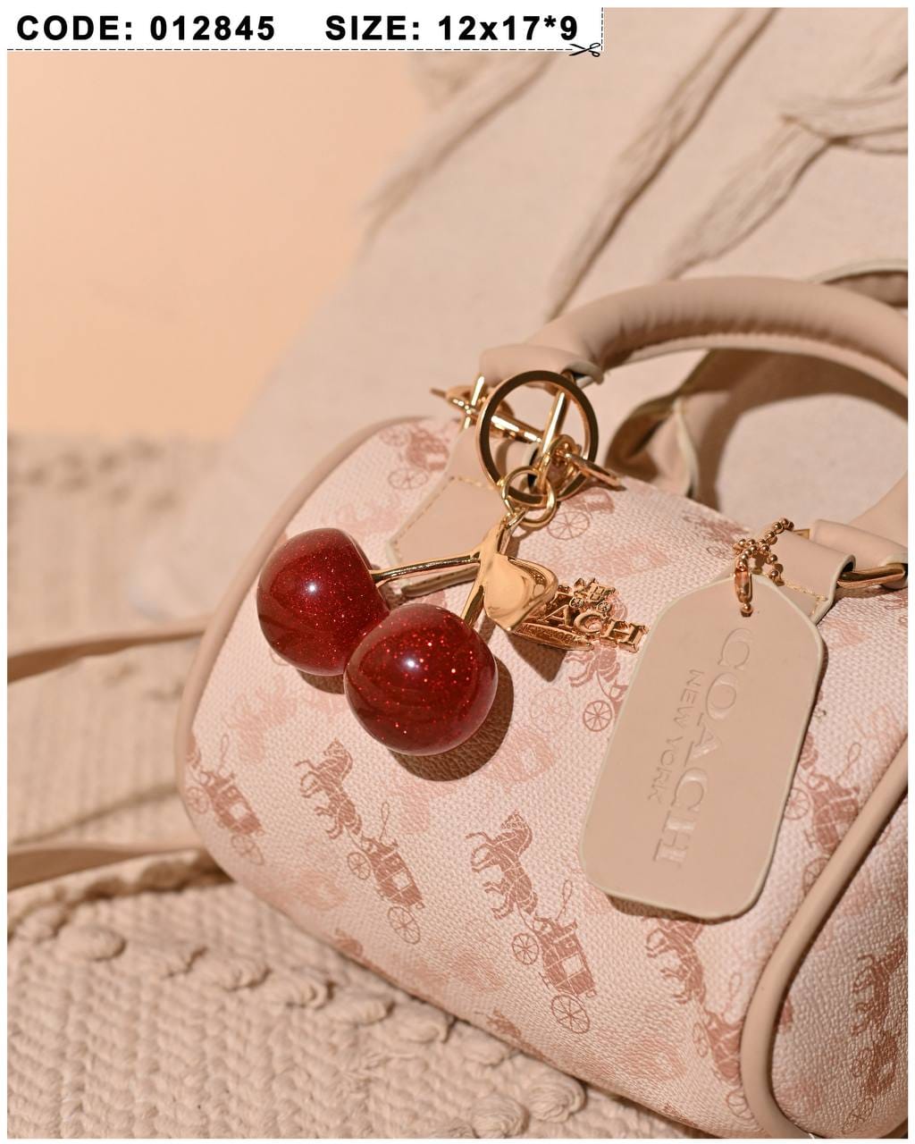 012845 — Cherry Charm Mini Bag — detail
