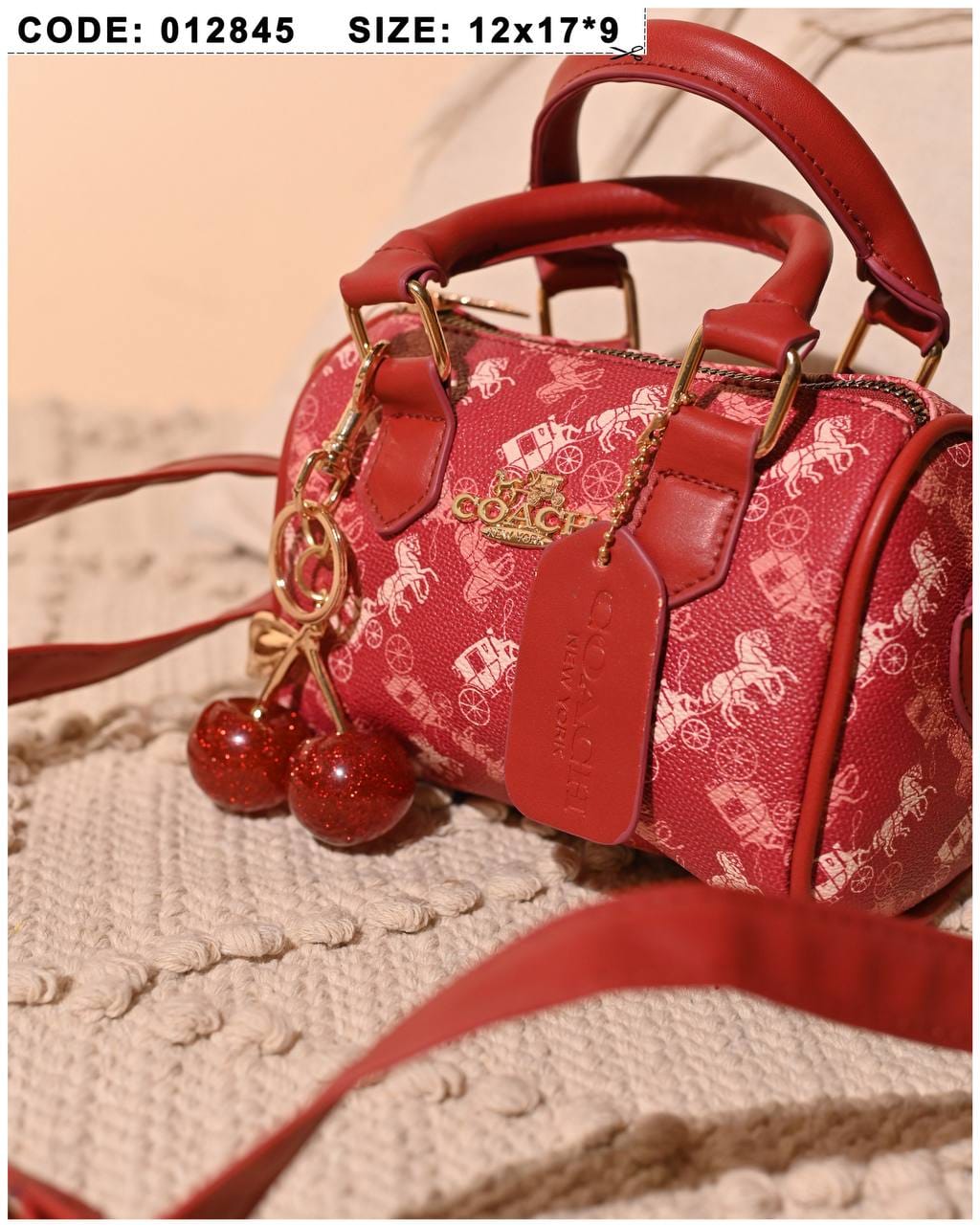012845 — Cherry Charm Mini Bag — detail