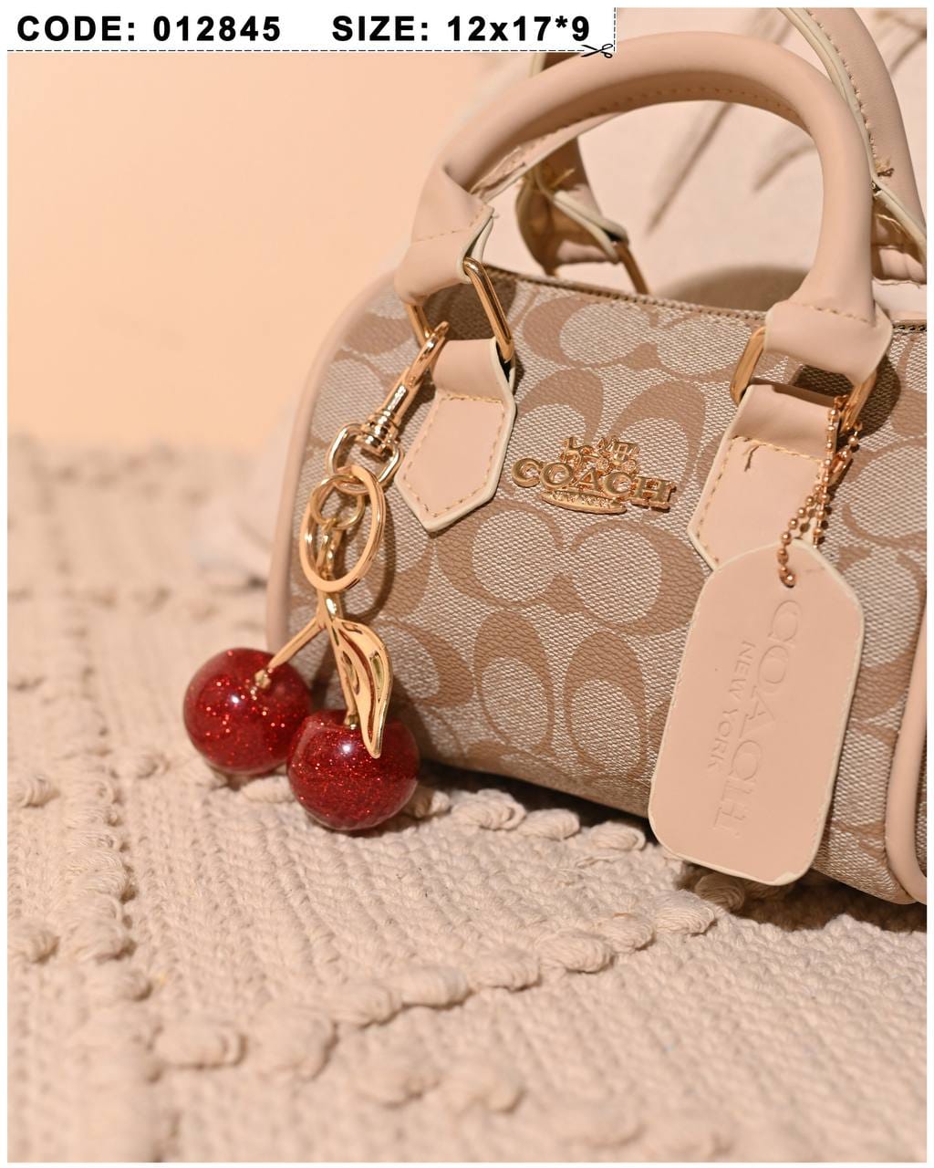012845 — Cherry Charm Mini Bag — detail