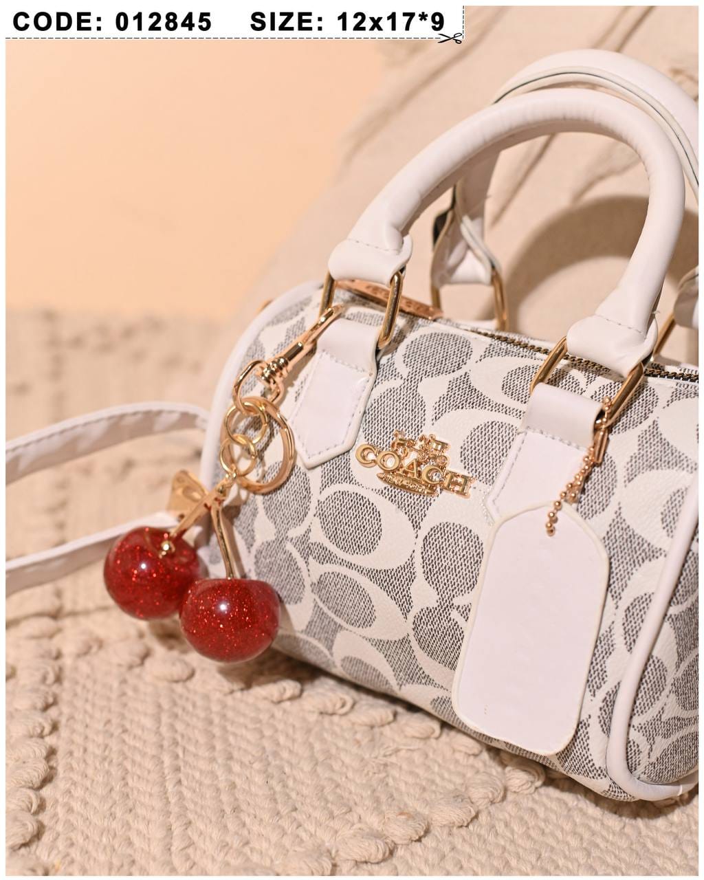012845 — Cherry Charm Mini Bag — detail