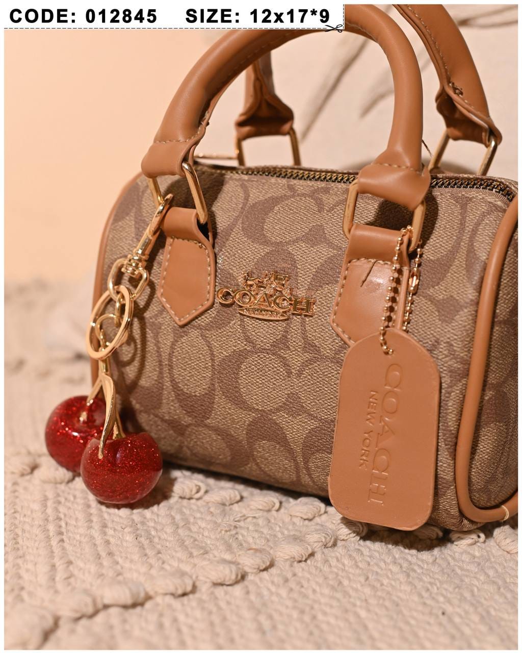 012845 — Cherry Charm Mini Bag — detail