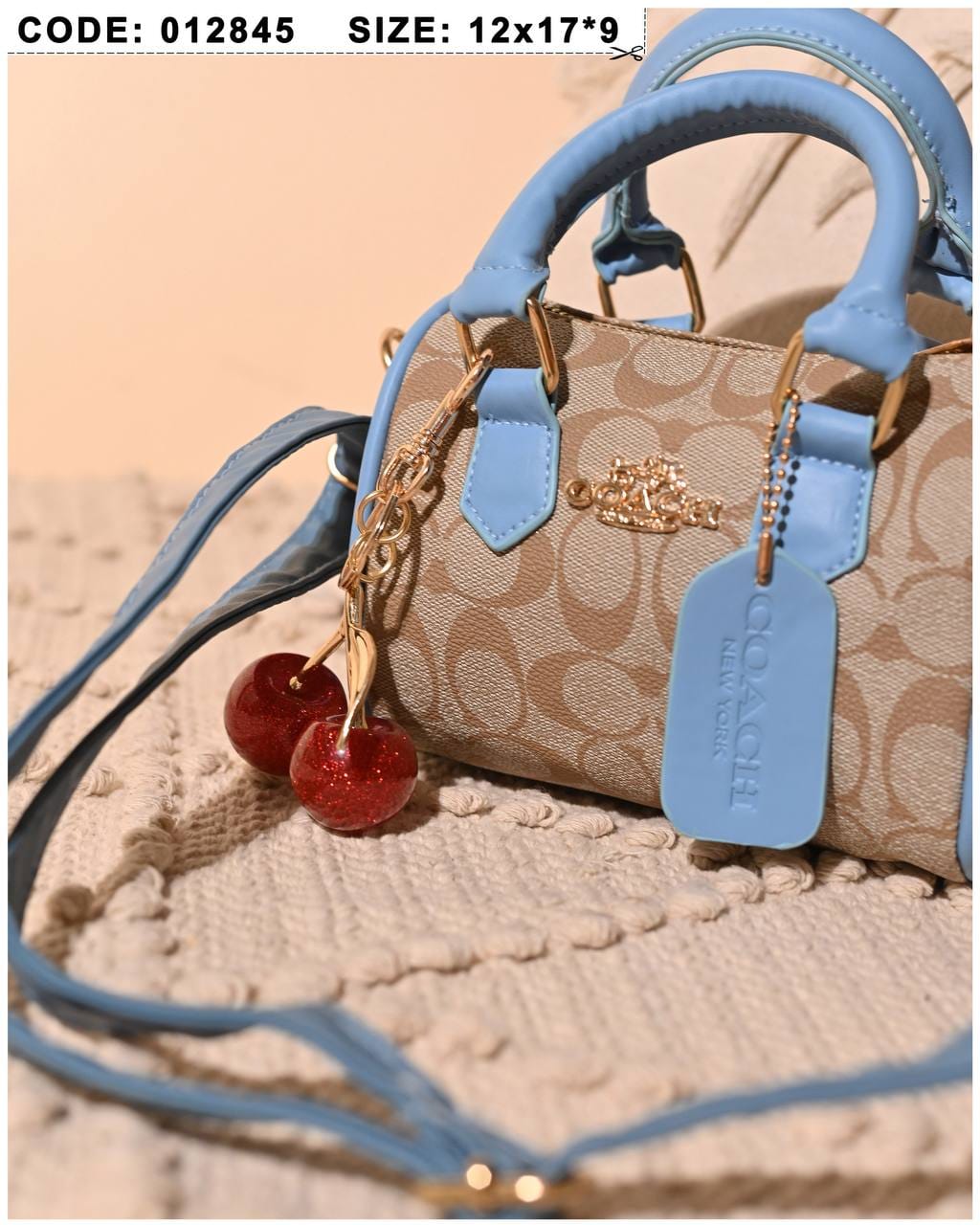 012845 — Cherry Charm Mini Bag — detail