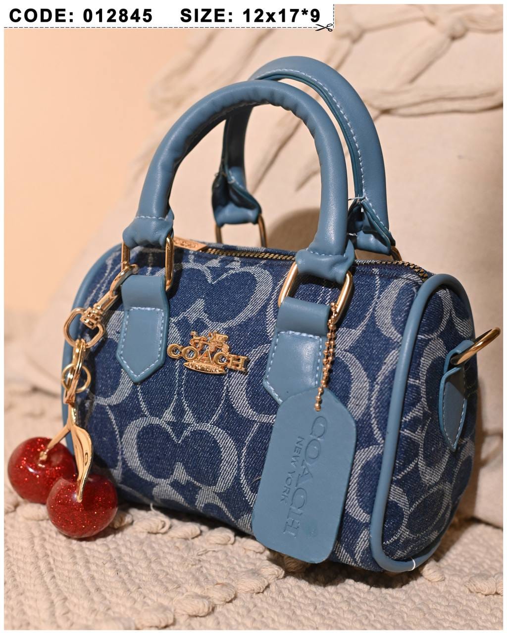 012845 — Cherry Charm Mini Bag — detail