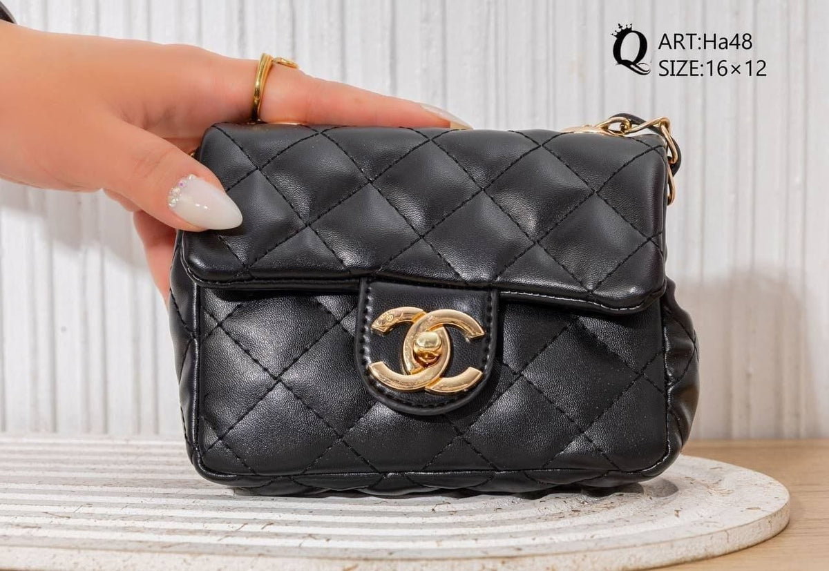Ha48 — Black mini quilted chain bag front, 16 × 12 (Black)