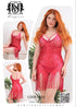 910_2 — Fuchsia (Fuchsia)